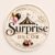 surprisedecor.in